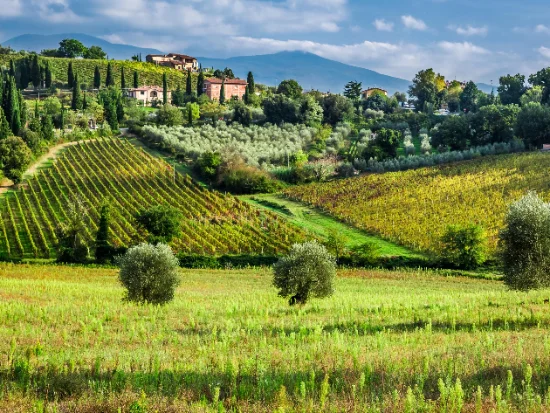 Tuscan countryside